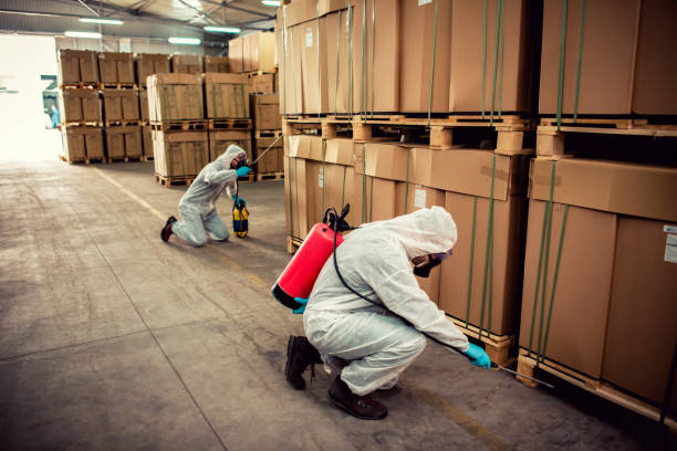 Best Cockroach Control Services  in Beaufort, NC