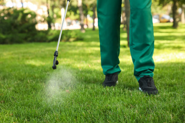 Best Pest Control Near Me in Beaufort, NC