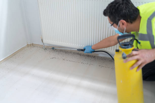 Best Pest Control Near Me  in Beaufort, NC